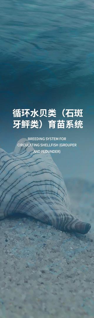 何为真正的综合型技术伙伴 从研发到运营的全链条服务时代